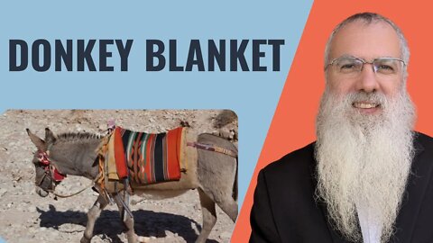 Mishna Shabbat Chapter 5 Mishnah 2 Donkey blanket