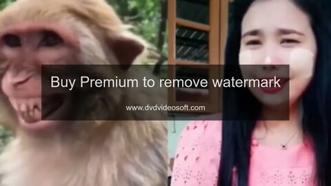 Troll Prank Dog Funny & fake Lion and Fake Tiger Prank To dog & Huge Box Prank to dog