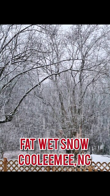 FAT WET SNOW COOLEEMEE, NC