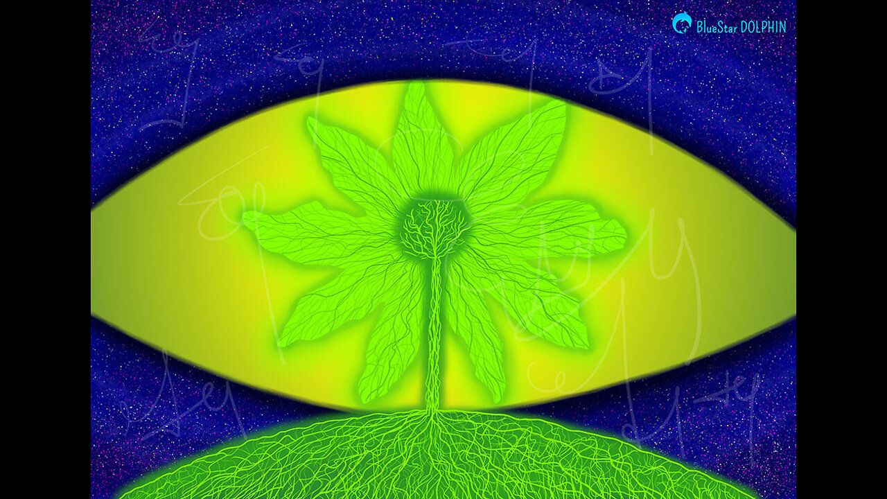 Through the eyes of the Universe_Light Language_Speed drawing