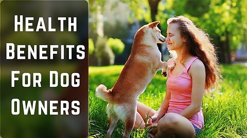 Top 10 Health Benefits For Dog Owners