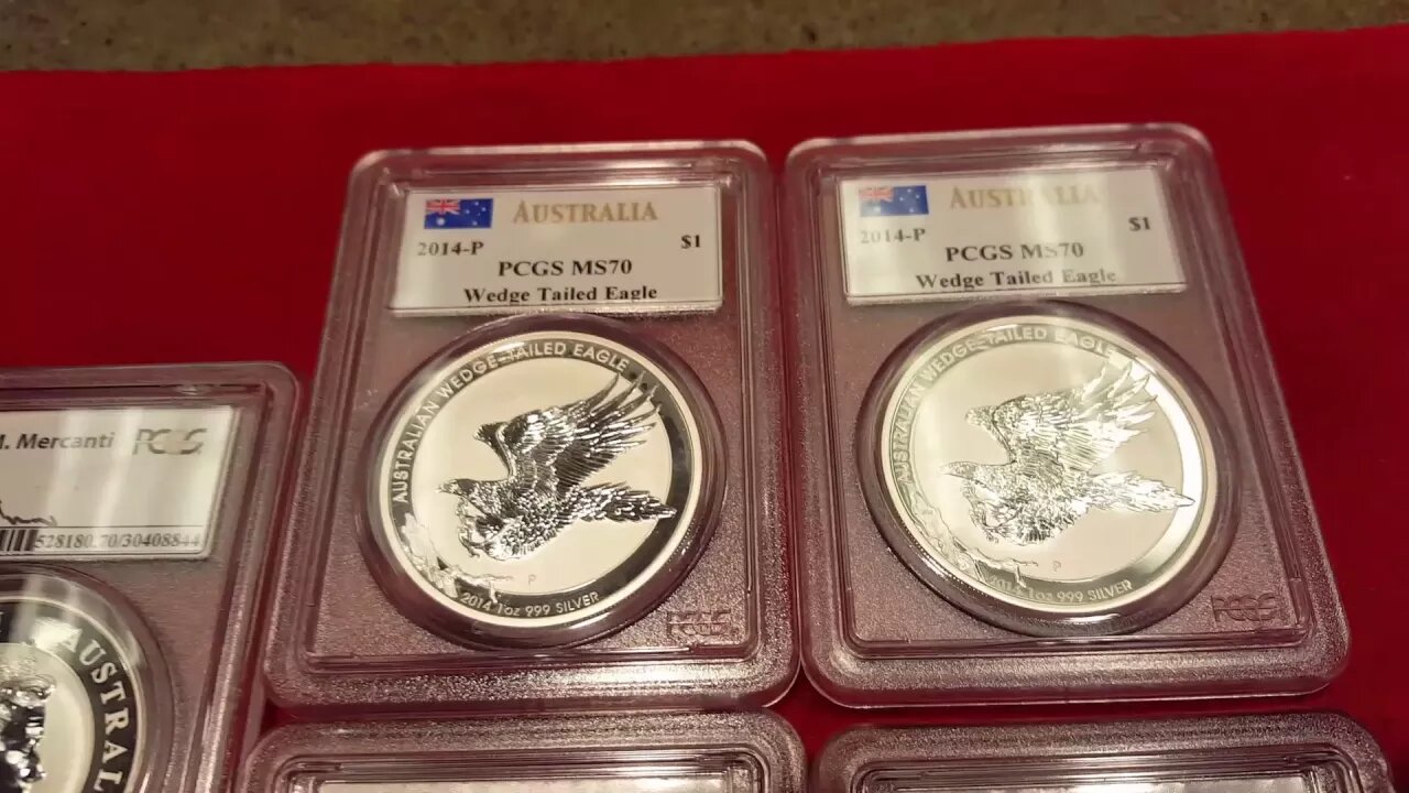 2014 Silver Wedge Tailed Eagles (WHAT is at the END?)