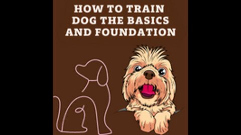 How to Train ANY DOG the basics and foundation