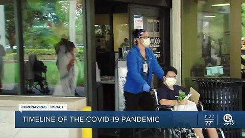 Timeline of the coronavirus pandemic