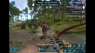 Raid: Ark Survival Evolved (E5)