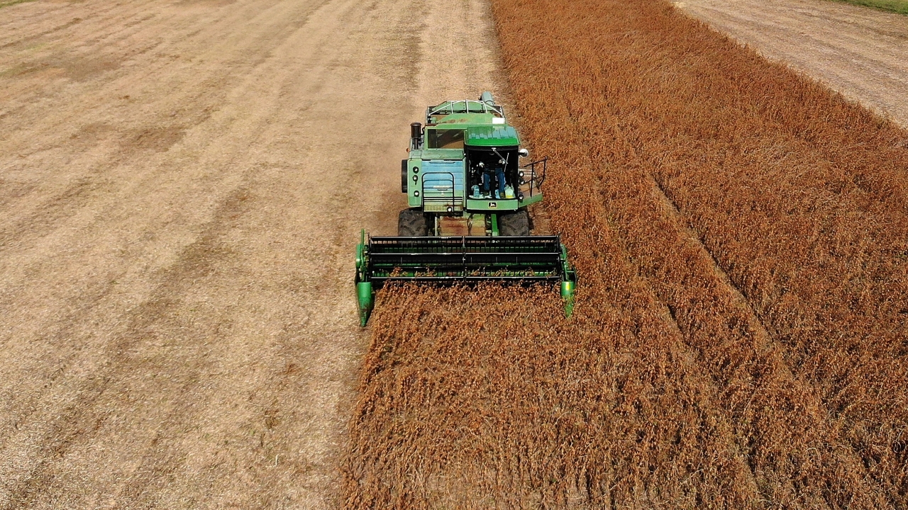 U.S. Watchdog To Look Into Trump's $28B Farm Bailout