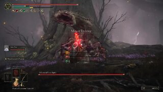 ELDEN RING - Ulcerated Tree Spirit