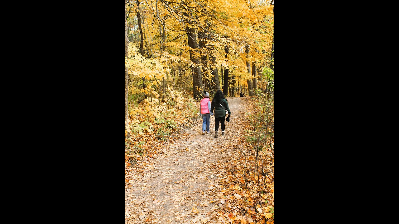 Dundas Peak Hiking Trail III