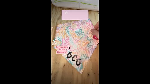 Pet Bandanas & Bows