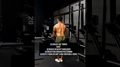My FAVORITE upper back exercise 💪#shorts #upperback #luraises #shoulders