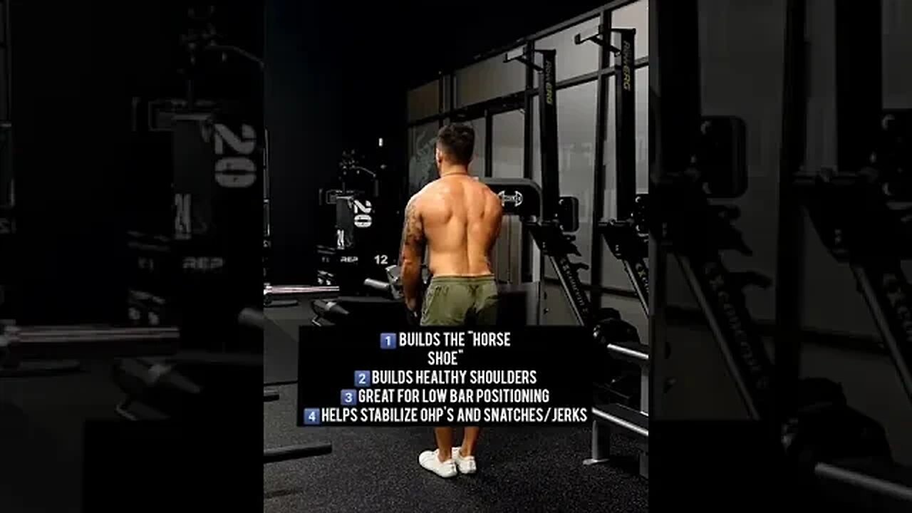 My FAVORITE upper back exercise 💪#shorts #upperback #luraises #shoulders