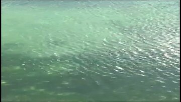 Crystal Clear Water Secrets: Unveiling Nature's Hidden Beauty