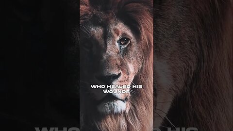Are you a Savage 🦁#motivation #motivationalquotes