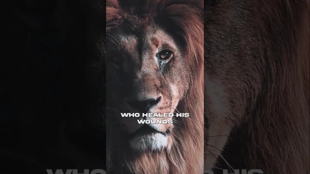 Are you a Savage 🦁#motivation #motivationalquotes