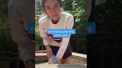 Dogs, Dogsvideos 12