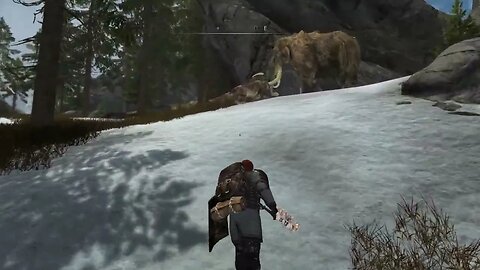 Save The Mammoth!