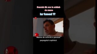 Schimb de mame: Mama de schimb a pierdut papagalul