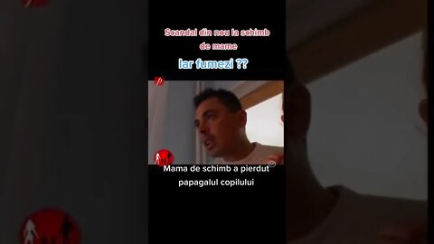 Schimb de mame: Mama de schimb a pierdut papagalul