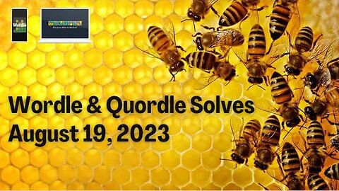 Wordle & Quordle of the Day for August 19, 2023 ... Happy Honey Bee Day!