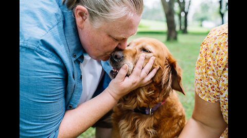 Emotional Dogs Meet Owners After A Long Time ❤️ *TRY NOT TO CRY*
