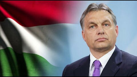 Hungary’s anti-LGBT law goes into effect despite EU warnings (Go, Hungary, Go)