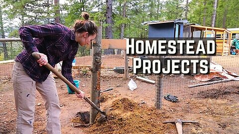Off Grid Living | Building A Bigger and Better Goat Pen!