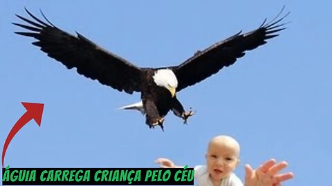 ÁGUIA CARREGA CRIANÇA PELO CÉU