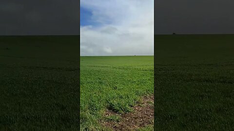 Sixpenny Dutch barn photographic location, Dorset, UK