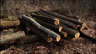Timber tuff tools, lumber cutting guide