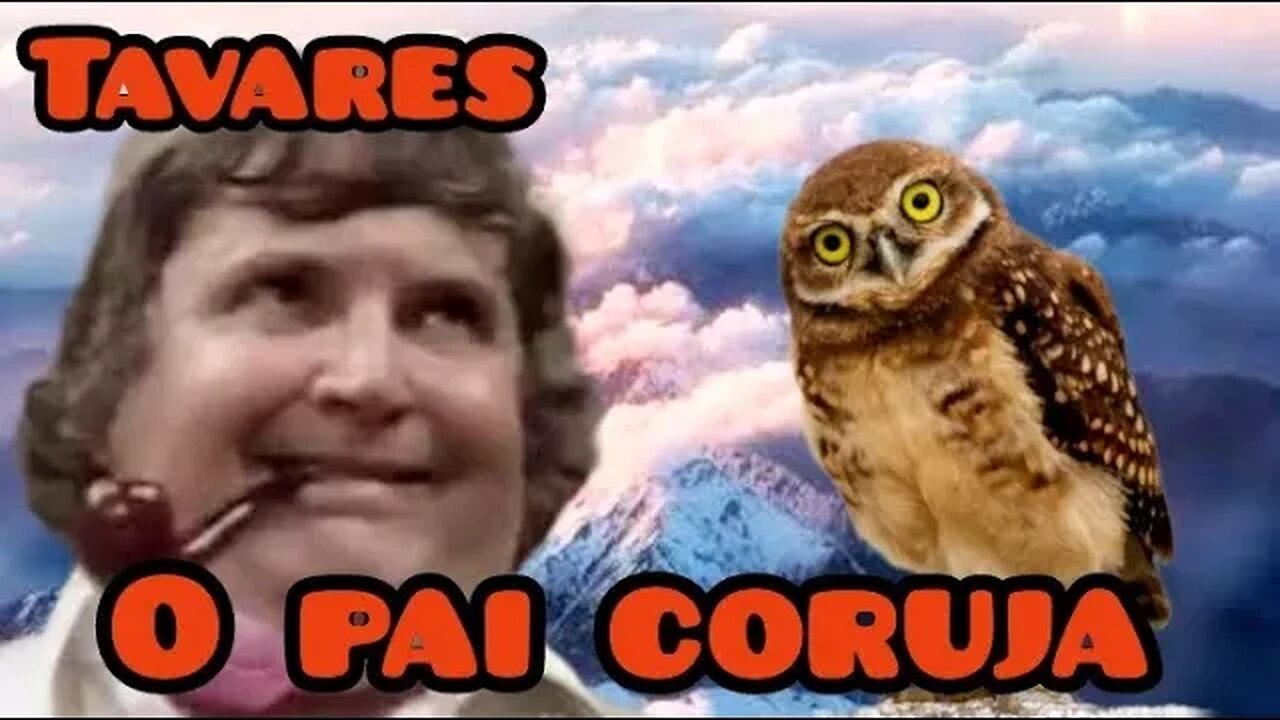 Viva o Gordo; Tavares, o pai coruja.