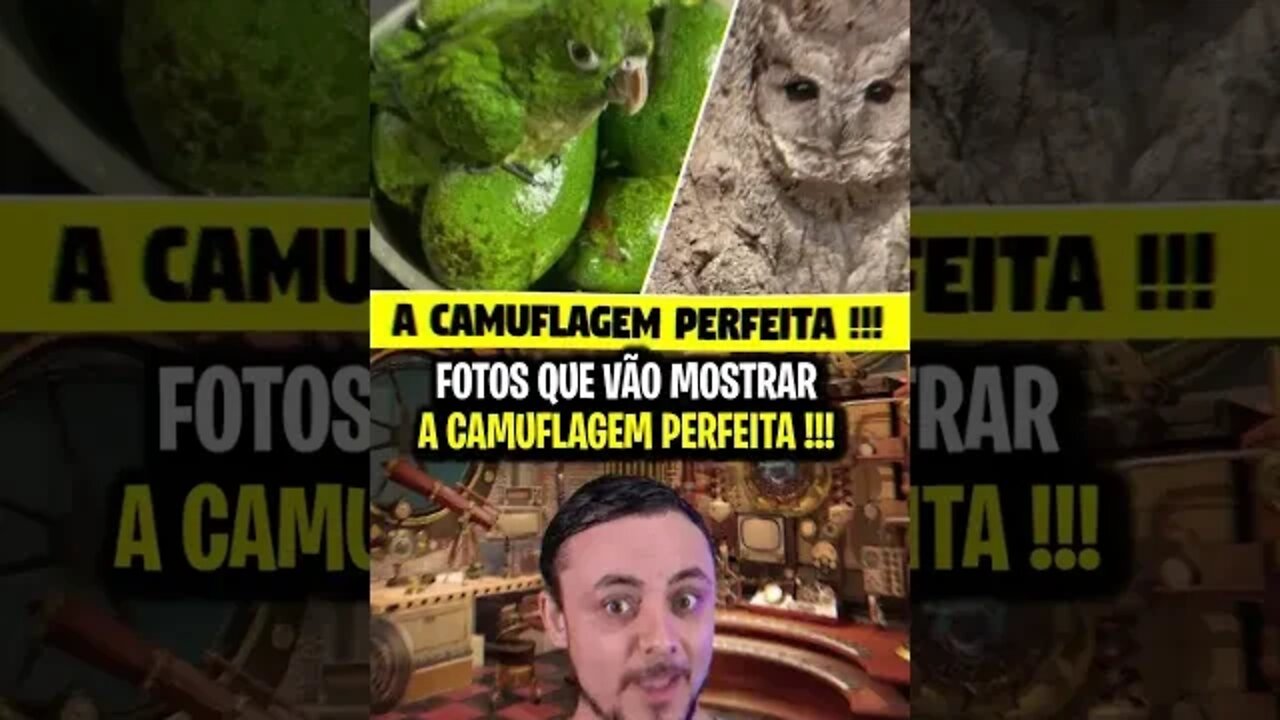 FOTOS QUE VÃO MOSTRAR A CAMUFLAGEM PERFEITA 1