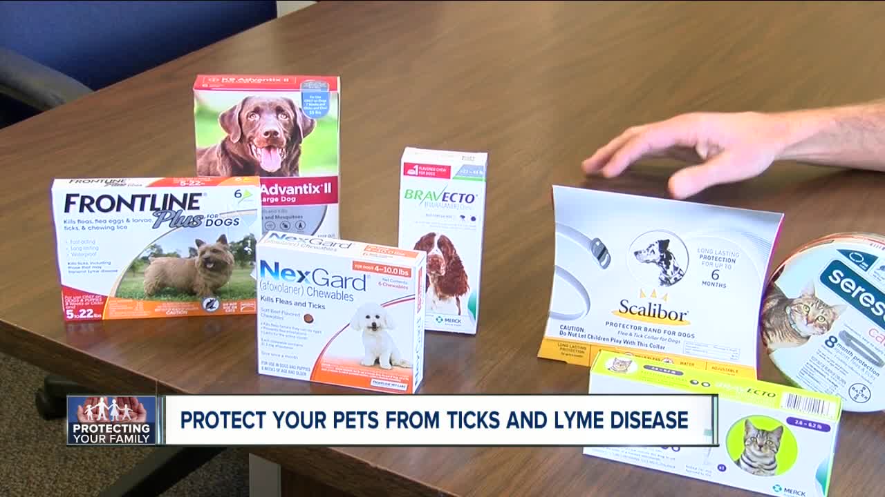 As we enter tick season, here's what you need to know to better protect your pets