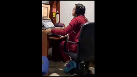 funny videos