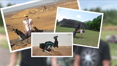 Australian couple, three rescue dogs stop in Denver on motorcycle tour of the world