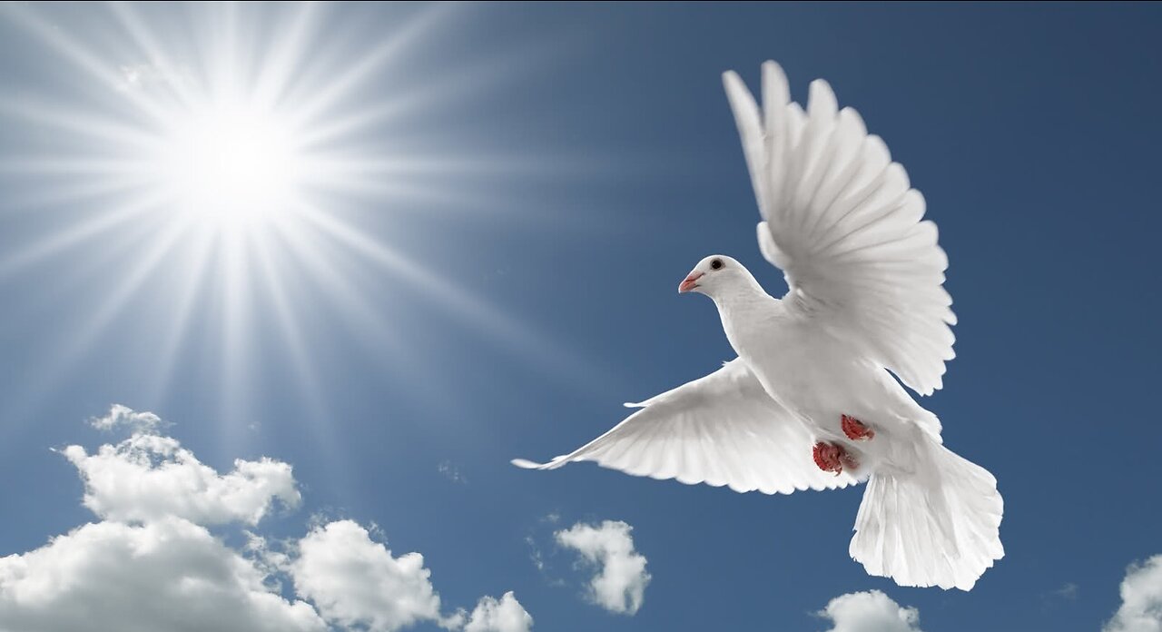 Try The Spirit By The Spirit Error! The Scripture Does Not Say This!