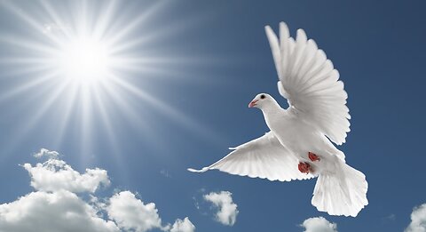 Try The Spirit By The Spirit Error! The Scripture Does Not Say This!