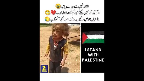 Palestine 🇵🇸