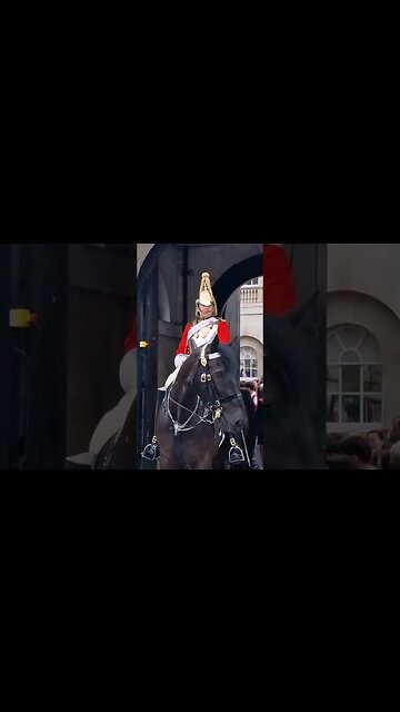 Every body move back #horseguardsparade