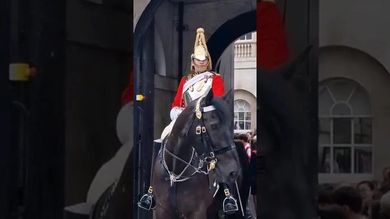 Every body move back #horseguardsparade