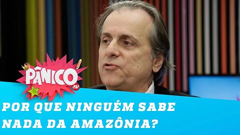 Especialista em direito ambiental explica o que está acontecendo na Amazônia