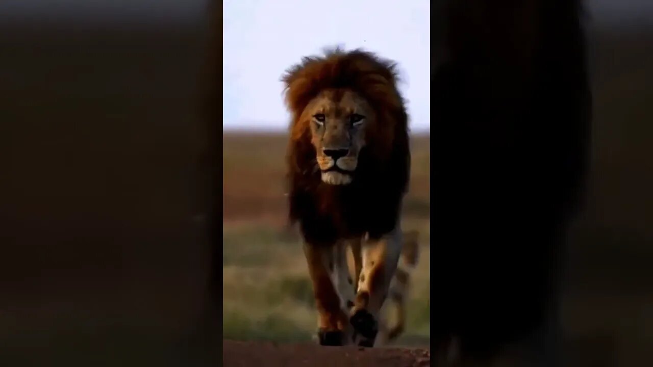 Nadie Viene a Salvarte. Pelea por lo que Quieres.
