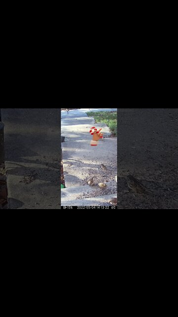 A Creepy Christmas Hand Visits #Shorts 🎄