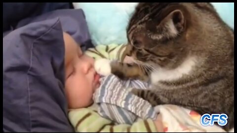 Cats love babies 😍❤️❤️🥰😍🥳