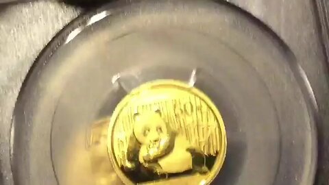 Graded Gold Pandas Under Spot
