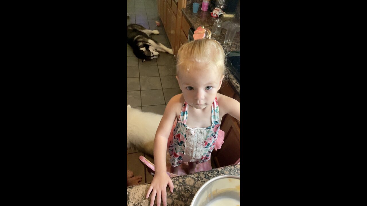 Baby Cooking Breakfast For Her Dogs