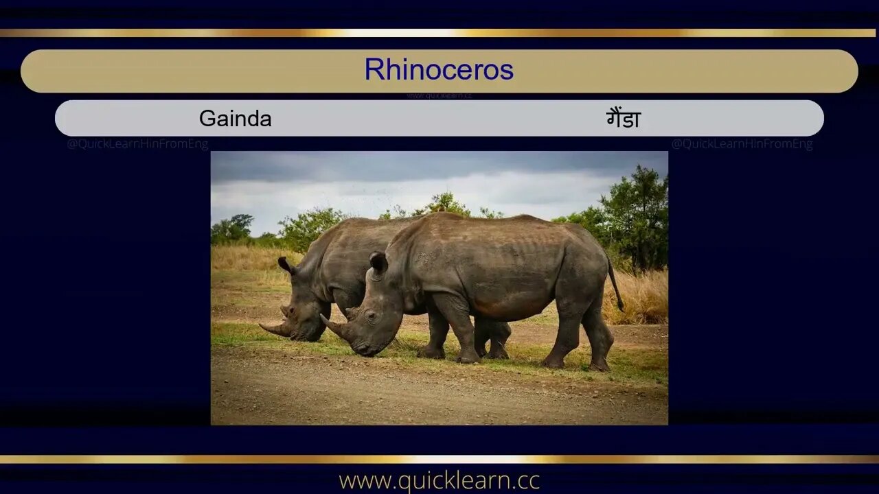 Learn Hindi through English - Animals #hindi #hindifromenglish #languagelearning