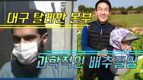 대구이슬람 & 과학적인 배추절임