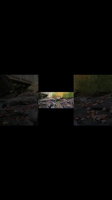 #coldplunge #ytshortscanada #ytshorts #ytshortsvideo #cleanse #wilderness