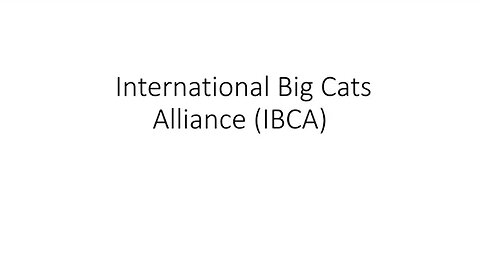 IBCA | International Big Cats Alliance