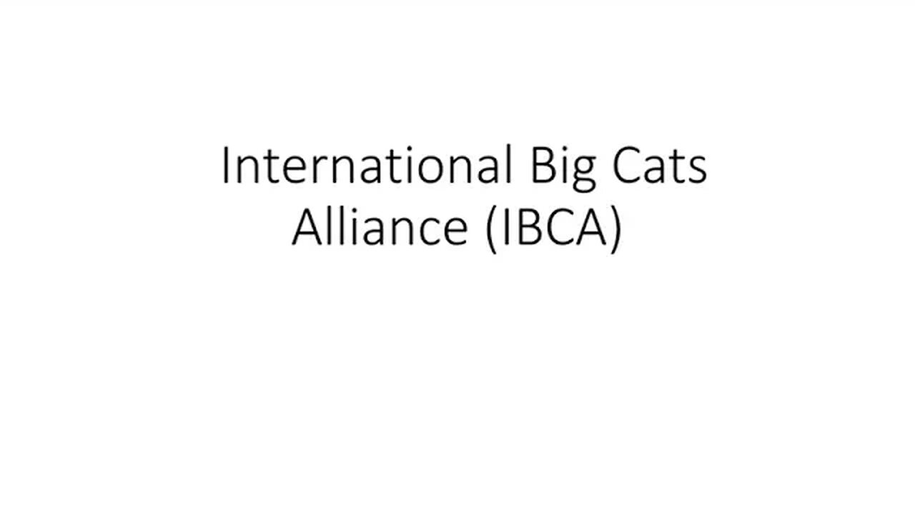 IBCA | International Big Cats Alliance